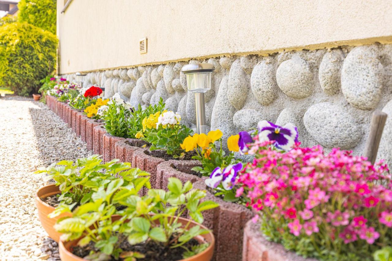 Czarna Gora Apartamenty Tatry Gory Bialka Bukowina Agroturystyka Kültér fotó